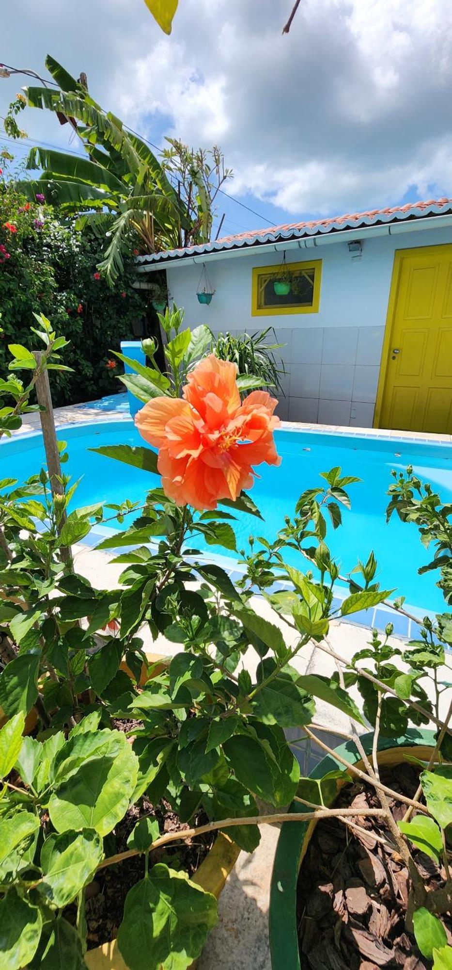 Mandala Dreams Pousada E Portal Holistico Maceió Екстериор снимка